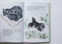 Загрузить изображение в средство просмотра галереи, Тюпа, Томка и сорока. Е.Чарушин