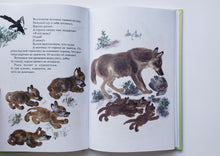 Загрузить изображение в средство просмотра галереи, Тюпа, Томка и сорока. Е.Чарушин