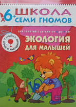Загрузить изображение в средство просмотра галереи, Школа семи гномов 6-7 лет. Полный годовой курс (12 книг с игрой и наклейками + диплом)