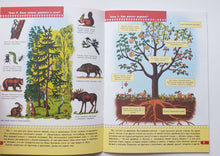 Загрузить изображение в средство просмотра галереи, Школа семи гномов 6-7 лет. Полный годовой курс (12 книг с игрой и наклейками + диплом)