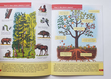 Загрузить изображение в средство просмотра галереи, Школа семи гномов от 6 до 7 лет. Экология для малышей