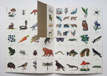 Загрузить изображение в средство просмотра галереи, Школа семи гномов 6-7 лет. Полный годовой курс (12 книг с игрой и наклейками + диплом)