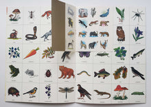 Загрузить изображение в средство просмотра галереи, Школа семи гномов от 6 до 7 лет. Экология для малышей