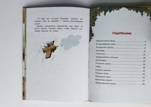 Загрузить изображение в средство просмотра галереи, Сказки картонного городка. Каскадёр. Валько