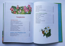 Загрузить изображение в средство просмотра галереи, Большая книга весёлых историй про Изюминку и гнома. А.Балинт