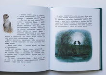 Загрузить изображение в средство просмотра галереи, Ветер в ивах. К.Грэм