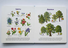 Загрузить изображение в средство просмотра галереи, Книжка-картонка. Первая книга малыша. Всё обо всём