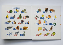 Загрузить изображение в средство просмотра галереи, Книжка-картонка. Первая книга малыша. Всё обо всём