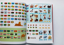 Загрузить изображение в средство просмотра галереи, Активити атлас мира. Книжка с наклейками