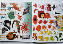 Загрузить изображение в средство просмотра галереи, Мои первые развивающие плакаты с наклейками