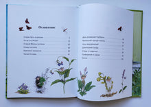 Загрузить изображение в средство просмотра галереи, Гном из водосточной трубы. Слышишь, как растет трава… Д.Дрешер