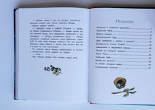 Загрузить изображение в средство просмотра галереи, Маленькая ведьмочка Флора. Большой колдовской ураган. Э.Ливаниос