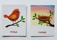 Загрузить изображение в средство просмотра галереи, Подбери картинки. Кто где живёт