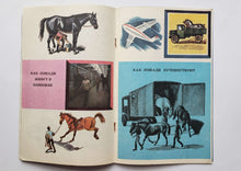 Загрузить изображение в средство просмотра галереи, Кони мои, кони. Е.Петушкова (ПОДЕРЖАННАЯ книга)
