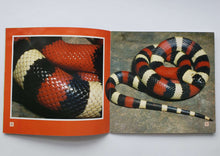 Загрузить изображение в средство просмотра галереи, Stripes (USED book)
