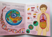 Загрузить изображение в средство просмотра галереи, Книжка-картонка с окошками. Как устроен человек
