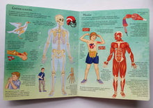 Загрузить изображение в средство просмотра галереи, Книжка-картонка с окошками. Как устроен человек
