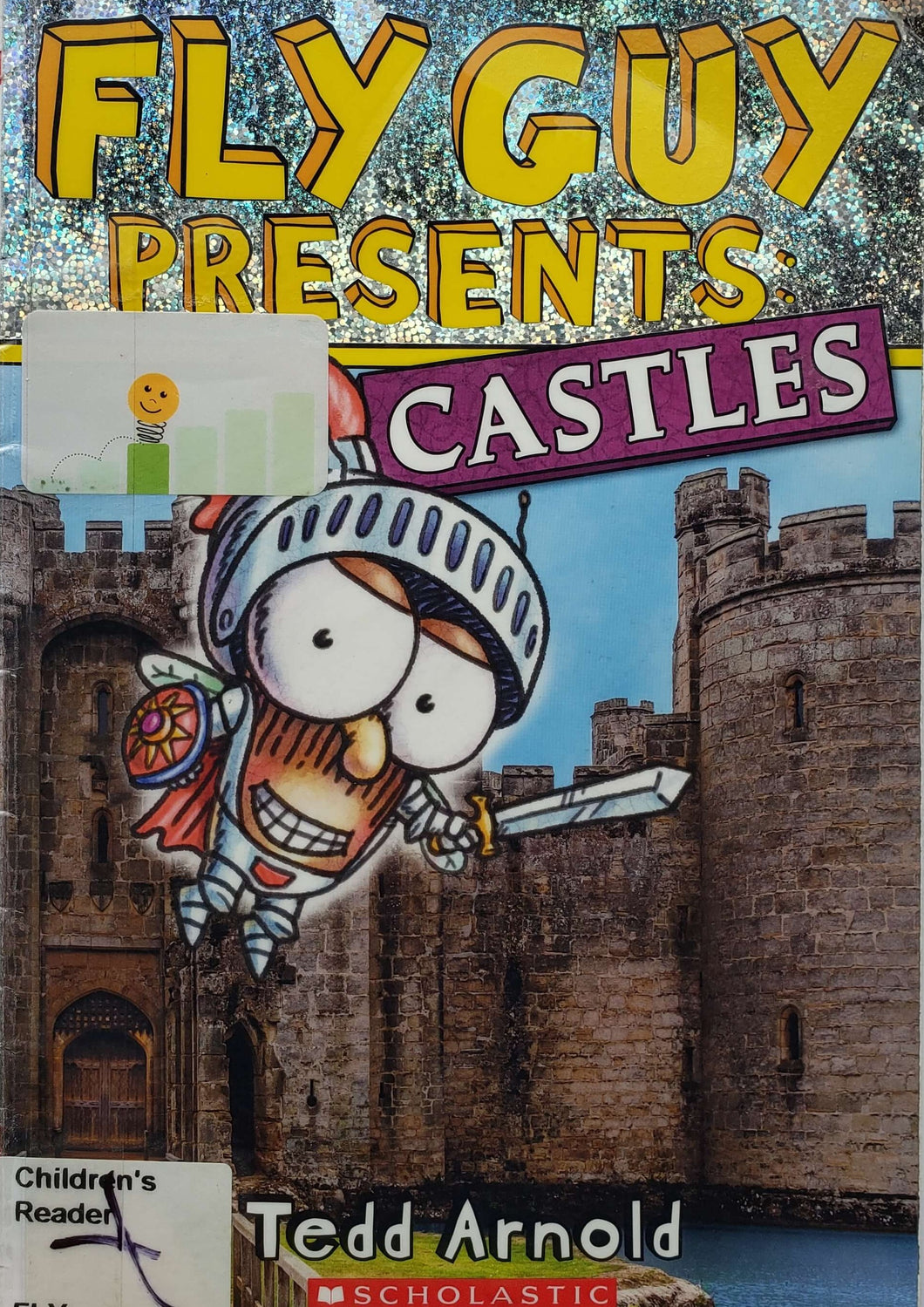 Fly Guy presents: castles (USED book)