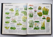 Загрузить изображение в средство просмотра галереи, The Principles of Gardening (USED book)
