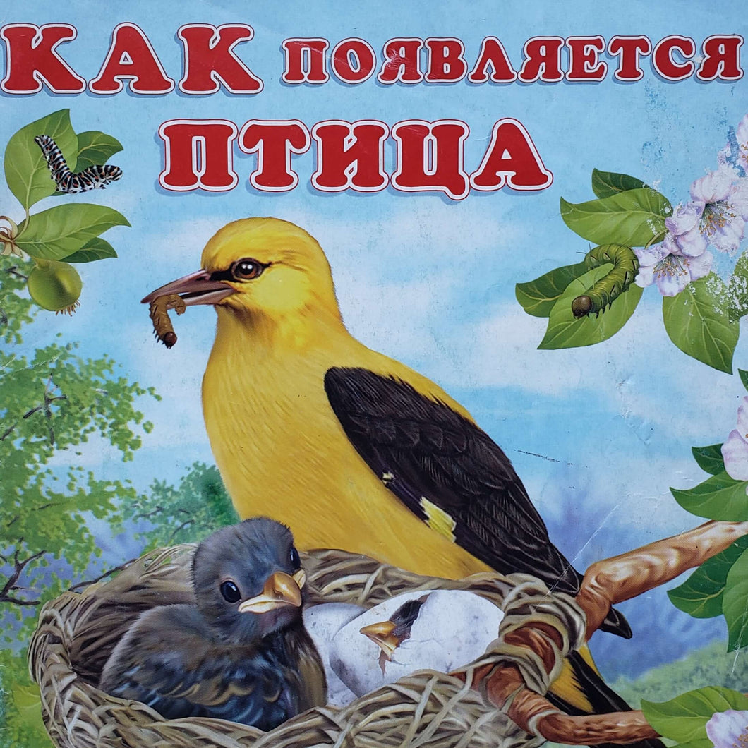 Как появляется птица (ПОДЕРЖАННАЯ книга)