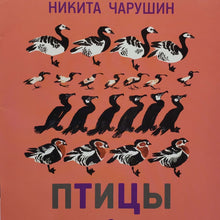 Загрузить изображение в средство просмотра галереи, Птицы. Н.Чарушин (ПОДЕРЖАННАЯ книга)
