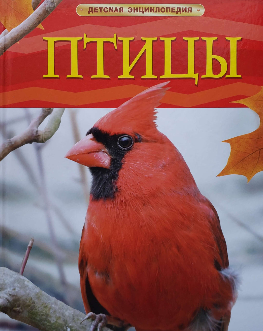 Птицы (ПОДЕРЖАННАЯ книга)