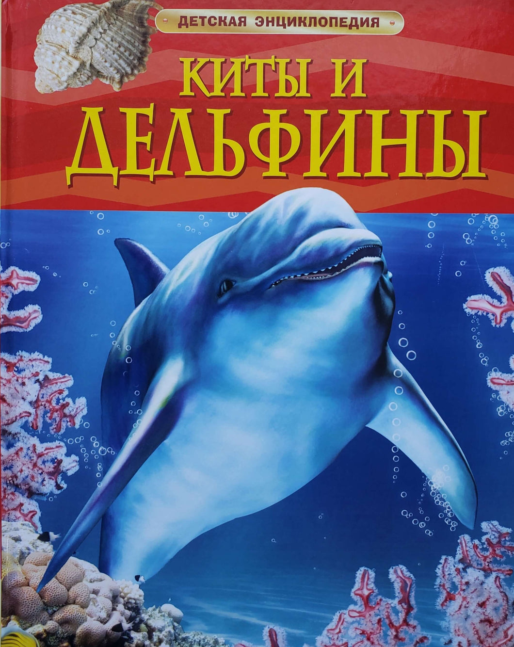 Киты и дельфины (ПОДЕРЖАННАЯ книга)