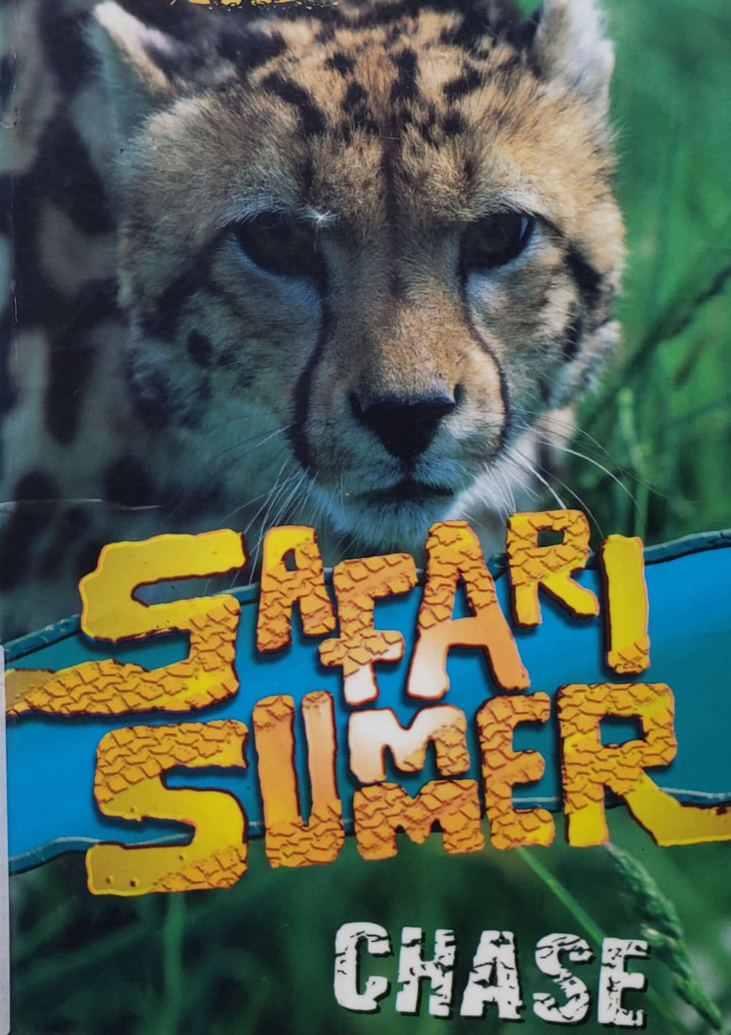 Safari summer (USED book)