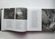 Загрузить изображение в средство просмотра галереи, Божественная комедия с иллюстрациями Гюстава Доре. Д.Алигьери
