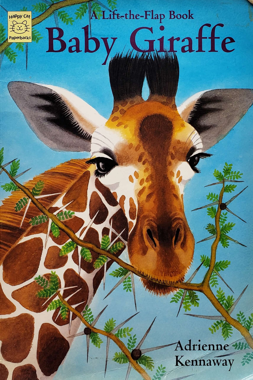 Baby Giraffe (ПОДЕРЖАННАЯ книга)