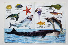 Загрузить изображение в средство просмотра галереи, Water and reptile animals (ПОДЕРЖАННАЯ книга)
