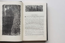 Загрузить изображение в средство просмотра галереи, Избранные произведения в двух томах. К.Гамсун (ПОДЕРЖАННЫЕ книги)
