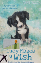 Загрузить изображение в средство просмотра галереи, Lucy makes a wish (ПОДЕРЖАННАЯ книга)
