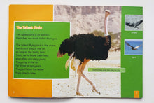 Загрузить изображение в средство просмотра галереи, The cheekiest birds (ПОДЕРЖАННАЯ книга)
