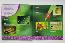 Загрузить изображение в средство просмотра галереи, Insects (ПОДЕРЖАННАЯ книга)
