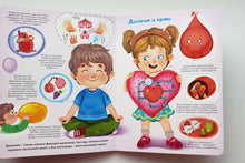 Загрузить изображение в средство просмотра галереи, Книжка-картонка с окошками. Моя первая анатомия. О.Иванова
