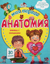 Загрузить изображение в средство просмотра галереи, Книжка-картонка с окошками. Моя первая анатомия. О.Иванова
