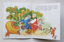 Загрузить изображение в средство просмотра галереи, Репка
