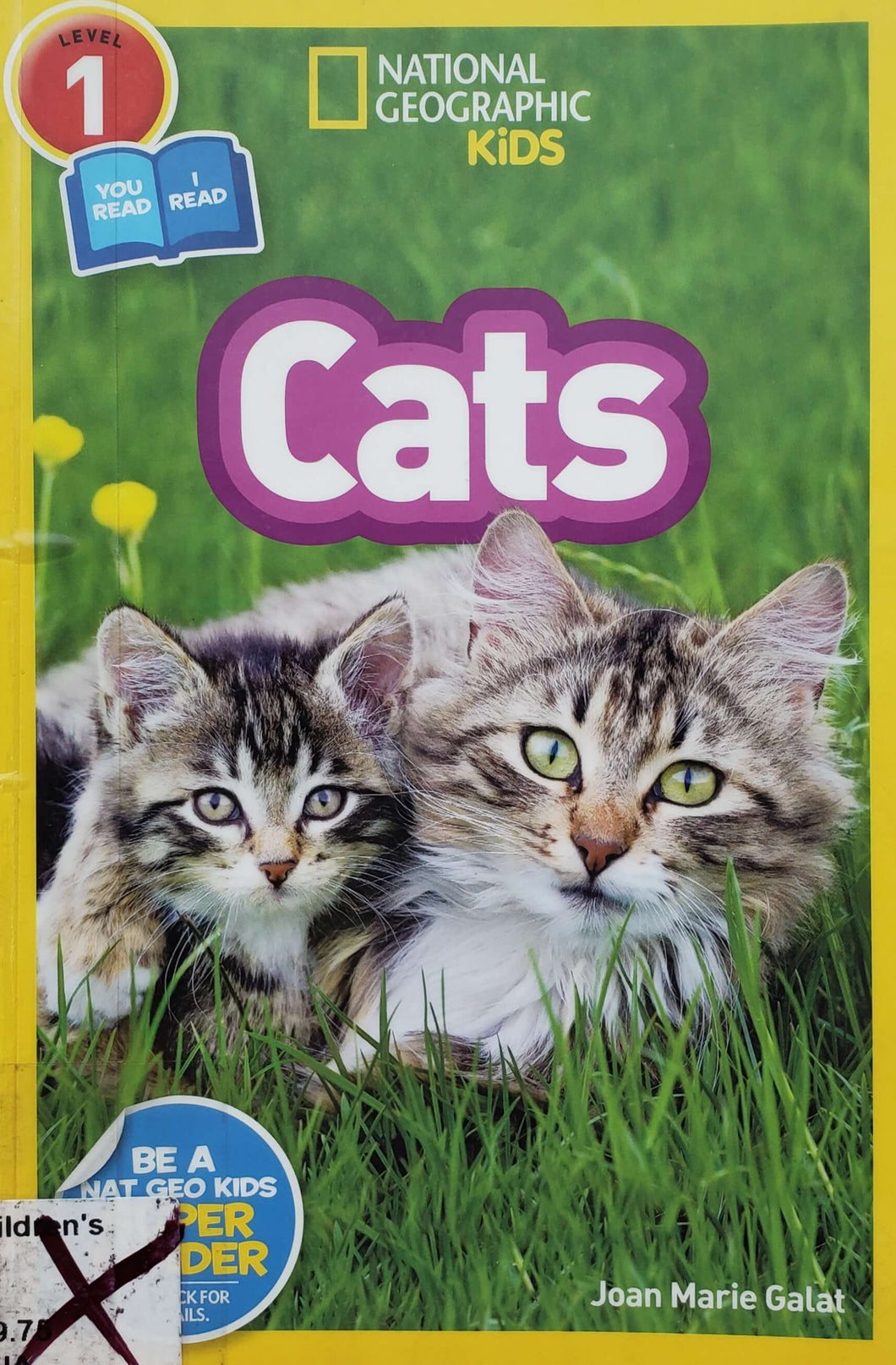 Cats (ПОДЕРЖАННАЯ книга)