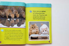 Загрузить изображение в средство просмотра галереи, Cats (ПОДЕРЖАННАЯ книга)
