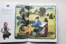 Загрузить изображение в средство просмотра галереи, Репка
