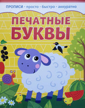 Загрузить изображение в средство просмотра галереи, Прописи. Печатные буквы
