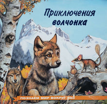 Загрузить изображение в средство просмотра галереи, Приключения волчонка (ПОДЕРЖАННАЯ книга)
