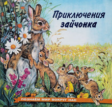 Загрузить изображение в средство просмотра галереи, Приключения зайчонка (ПОДЕРЖАННАЯ книга)
