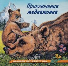 Загрузить изображение в средство просмотра галереи, Приключения медвежонка (ПОДЕРЖАННАЯ книга)
