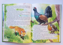 Загрузить изображение в средство просмотра галереи, Чудесное путешествие Нильса с дикими гусями. С.Лагерлеф
