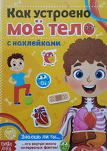 Загрузить изображение в средство просмотра галереи, Как устроено моё тело. Книжка с наклейками
