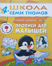 Загрузить изображение в средство просмотра галереи, Школа Семи Гномов 4-5 лет. Полный годовой курс (12 книг с играми и наклейками + диплом)
