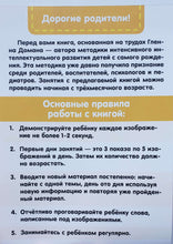 Загрузить изображение в средство просмотра галереи, Карточки Домана. Насекомые
